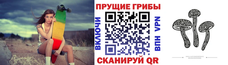 Псилоцибиновые грибы GOLDEN TEACHER  Приволжский 